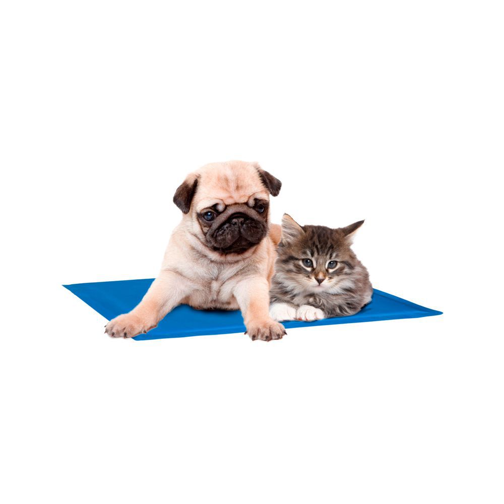 Sommer-Kleidung Für Katzen & Hunde – Kühlende Weste, Größe M, 2er Set